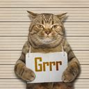 chatonBrutal chatonBrutal